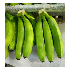 Green Cavendish Banana <b>Fresh</b> - <b>Fresh</b> Green Banana for Export - <b>Fresh</b> Fruit and <b>Vegetables</b> From Vietnam - Product Image 4
