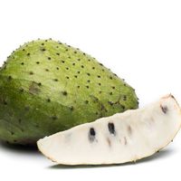 Beste prijs VROUWELIJKE SORSEEP PUREE van hoge kwaliteit, natuurlijk tropisch fruitpulp uit Vietnam, groothandel export leverancier/ Mevr. Kana