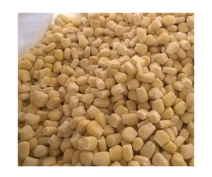 Exportation en vrac de maïs sucré congelé IQF Fournisseurs du Vietnam Produit chaud Vente de maïs congelé Meilleure affaire Maïs d'exportation de forme entière de haute qualité - Product Image 6