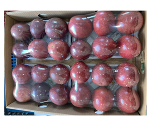 Fruit de la Passion Frais à Bon Prix - Fournisseur Vietnamien - Fruit de la Passion Jaune et Violet pour la Distribution en Gros - Product Image 5