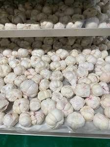 Mangostán Liofilizado al por Mayor, Bocadillo de Fruta Crujiente y Dulce para Venta al por Menor, Bolsas de Marca Privada de 50g 100g, Mangostán Seco de Vietnam - Product Image 2