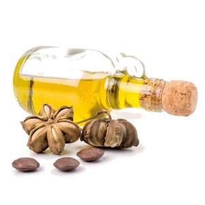 Approvisionnement en gros d'huile de graines de sachi inchi de qualité supérieure produite et exportée du Vietnam au prix le moins cher - Product Image 2