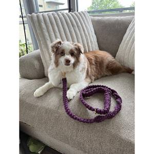 Correa de perro de macramé de color púrpura oscuro, correa de algodón hecha a mano para cachorros con decoración de encaje de lujo, tamaños para razas pequeñas, medianas y grandes - Product Image 5