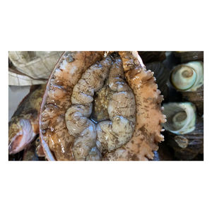 Abulón de Mar Congelado de Grado de Exportación, Alta Calidad, Bajo en Carbohidratos, Envasado al Vacío para Reventa al por Mayor - Product Image 5