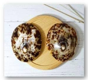 Colgante de concha de Lapa de moda para madres lactantes Joyería cómoda para sesiones de enfermería - Product Image 1