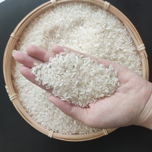 Riz Calrose égyptien de qualité supérieure, Camolio Cameo, de taille moyenne, 5 % de brisures maximum - Product Image 4