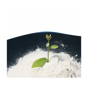 white dolimite powder fertilizer with a fineness level of 80% from Indonesia