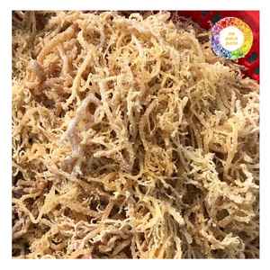 Proveedor vietnamita de algas secas Eucheuma Cottonii para compradores globales utilizadas en la producción de alimentos y el suministro de carragenina - Product Image 4
