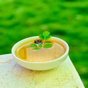 น้ำมันมะรุมสกัดเย็น100% เกรดอาหาร - Product Image 5