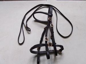 Brida anatómica de cuero de caballo Stanford Brida anatómica de cuero de caballo - Product Image 6