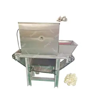 Professional Suppliers Peeled Making Machine Peeling Garlic With Low Price