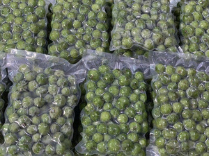 DRACONTOMELON CONGELADO DE VIETNAM/FRUTA AGRIA SELECCIONADA A MANO/SUMINISTRO A GRANEL DE ALTA CALIDAD/LISTO PARA COCINAR O COMER - Product Image 2