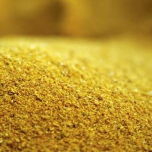 DDGS Maíz a granel Alimento proteico de alta fibra para aves de corral, ganado porcino, alimentación animal y exportación global - Product Image 5