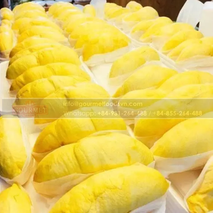 พรีเมี่ยมคุณภาพเกรดเวียดนามแช่แข็ง Ri6ทุเรียนผลไม้จากเวียดนามผลิต - Product Image 3