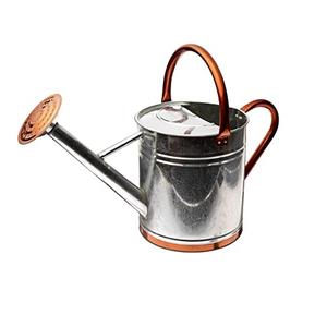 น้ำโลหะหรูหราสามารถออกแบบแบบดั้งเดิมน้ำทำด้วยมือสามารถออกแบบที่มีคุณภาพสูงน้ำสามารถสำหรับพืชสีเขียว - Product Image 1