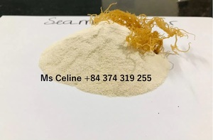 ผงทะเลมอสผงที่มีคุณค่าทางโภชนาการสูงจากเวียดนาม - Product Image 6
