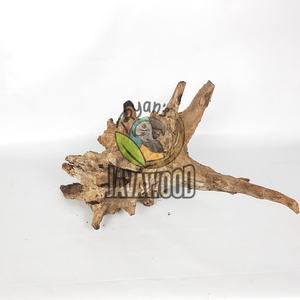 ไม้ติฟท์สำหรับตู้ปลาและบอนไซสวยงามทนทานและเป็นมิตรต่อสิ่งแวดล้อมในราคาที่ดีที่สุดจากอินโดนีเซีย - Product Image 3