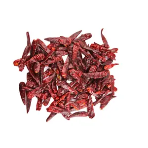 Meilleure Vente piment Teja rouge indien Sec chaud 25, 10, 7 5 Kg Sacs de jute ou de PP Emballage en balle Carton Emballage en boîte et emballage du consommateur