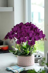 THAOF-102 ราคาขายส่งประดิษฐ์กล้วยไม้ดอกไม้พืชสัมผัสจริงFauxกล้วยไม้Phalaenopsisการจัดดอกไม้ - Product Image 4