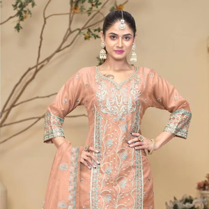 "Shalwar Kameez d'hiver luxueux: broderie fantaisie en organza, fond en soie, 4 couleurs, tailles XL-XXL, parfait pour toutes les occasions" - Product Image 1