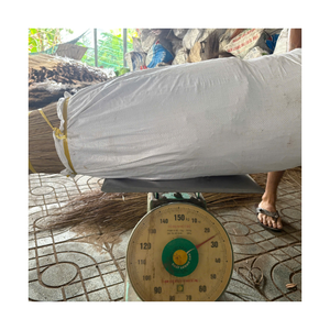 Bâton de balai de noix de coco-EXPORTATION DIRECTE DE L'USINE DU VIETNAM avec MATÉRIAUX ÉCOLOGIQUES, QUALITÉ DURABLE et DEMANDE MONDIALE - Product Image 3