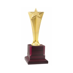 Trofeo de bola de cristal de estrella corporativa sin óxido de alta calidad Ideal para regalos de negocios y promociones disponibles de Indian - Product Image 2