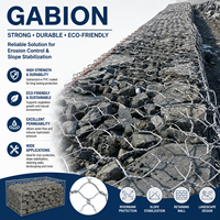 Canasta de Gabión de Alta Resistencia con Alambre Resistente a la Corrosión para Proyectos de Muros de Contención