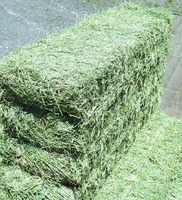 Foin d'alfalfa séché de haute qualité, cubes, aliments déshydratés, alimentation animale pour bovins, chevaux, porcs, poissons, chiens, qualité alimentaire, 25 kg/sac