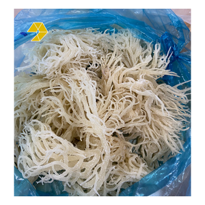 Mousse de mer irlandaise séchée blanche Vietnam-Mousse irlandaise Eucheuma Cottonii Algues Seamoss Naturel - Product Image 4