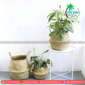 PRODUIT CHAUD Panier de rangement en jonc de mer tissé élégant du Vietnam Solution de décoration écologique pour votre maison - Product Image 2