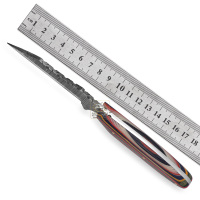 Couteau de chasse et de survie personnalisable OEM DD-DAM-557 en acier Damas, manche Micarta cinq couleurs, lame droite à pointe clip.
