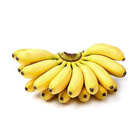 Herbojit International Super Grade Hoogwaardige, heerlijke, natuurlijke, verse bananen 20kg Exportkwaliteit Verpakking beschikbaar Lage prijs