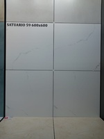 Carreaux de sol et de mur en grès cérame vitrifié GVT PGVT 600x600 mm (60x60 cm), collection de carreaux en porcelaine, fabrication en Inde, export en vrac, marquage OEM