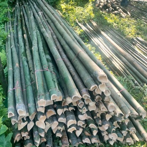 เสาไม้ไผ่ดิบธรรมชาติเป็นมิตรต่อสิ่งแวดล้อมสำหรับสวนรั้วก่อสร้าง - Product Image 6