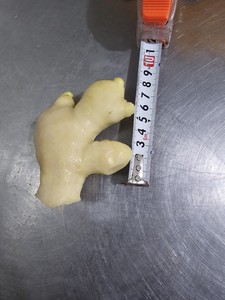 Gingembre jaune congelé de meilleure qualité gingembre congelé peler gingembre lavé emballage sous vide entier Origine Vietnam - Product Image 6