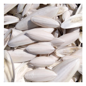 Os de seiche frais du Vietnam, os de seiche naturel pour animaux de compagnie, os de seiche écologique pour l'art, simple à utiliser - Product Image 2