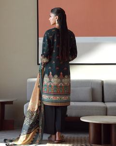 Bonitos trajes étnicos paquistaníes de diseñador de AJM Trade House 1021 - Product Image 4