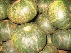 2025 <b>Fresh</b> <b>Pumpkins</b> Vietnam Origin Best Price & Export Standard - Product Image 4