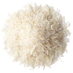 High Quality White Rice 5% Broken - Export Quality Long Grain Rice Soft and Perfume Grain Rice for sale