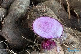 ÑAME MORADO CONGELADO | COLOR NATURAL | VEGETAL DE RAÍZ SALUDABLE DE VIETNAM - Product Image 3