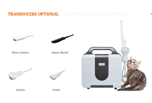 Scanner <span class=keywords><strong>pour</strong></span> animaux de compagnie MR-G20, échographie vétérinaire portable avec sondes, scanners à ultrasons couleur <span class=keywords><strong>pour</strong></span> animaux - Product Image 4