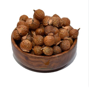 Herbojit International, Extracto Herbal de Reetha (Bola de Jabón India) 100% Puro de Alta Calidad, Extracción por Solvente, Suministro a Granel, Confiable - Product Image 2