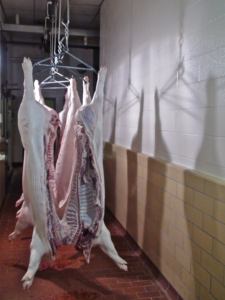 Carne de Caballo Entera Congelada Orgánica Premium de Canadá con 12 Meses de Vida Útil en Venta - Product Image 6