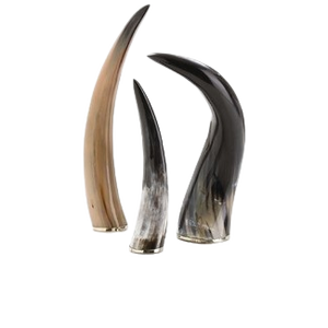 ประติมากรรมฮอร์นแบบนามธรรมที่ไม่เหมือนใครทำจากเรซิ่นพร้อมฐานไม้ขัดเงาสำหรับตกแต่งชั้นวางและบนโต๊ะ - Product Image 2