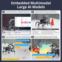 RoSpider AI, robot araignée bionique open source, robot hexapode avec contrôle vocal et par application pour développement secondaire