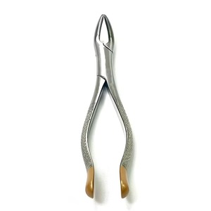 Forceps d'extraction dentaire manuel en acier inoxydable, instrument de qualité supérieure, extraction précise des dents, utilisation clinique, certifié CE - Product Image 1