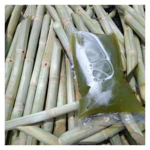 Caña de azúcar congelada con sabor natural dulce de 99GD Vietnam Caña de azúcar congelada para barras de jugo y pedidos de exportación listos para enviar - Product Image 3