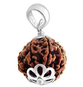 Pendentif 6 Mukhi Original Certifié Astrologie But Népal Origine Rare Perle 6 Mukhi Rudraksha - Product Image 1