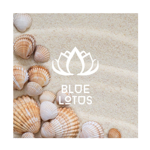 เปลือกหอยตกแต่งจากเวียดนาม/ยอดเยี่ยมสำหรับชิ้นกลางศิลปะบนผนังและของขวัญเฉพาะบุคคล - Product Image 1