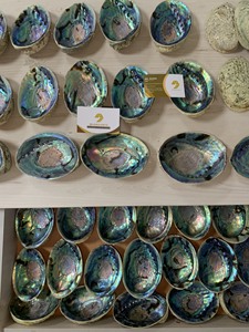 Concha de Abulón Verde Pulida para Artesanía Personalizada |   Concha de Paua Natural al por Mayor |   Concha Marina Azul Iridiscente, Decoración para el Hogar, Regalos - Product Image 6